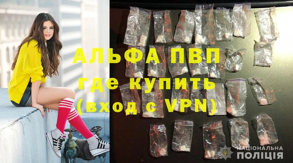 сатива Майский