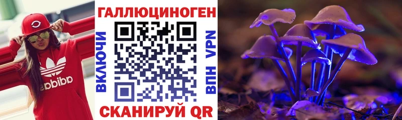 Галлюциногенные грибы Psilocybine cubensis  Нижний Тагил 